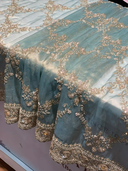 Aqua Blue Jaal Silk Tissue x Hand Embroidery