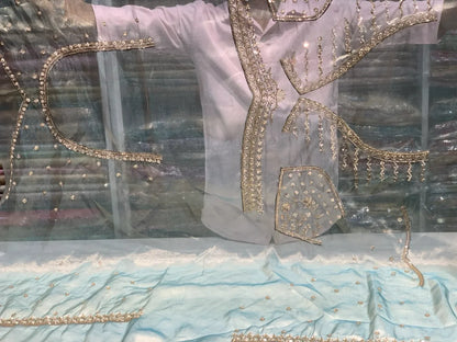Aqua Blue Jaal Silk Tissue x Hand Embroidery