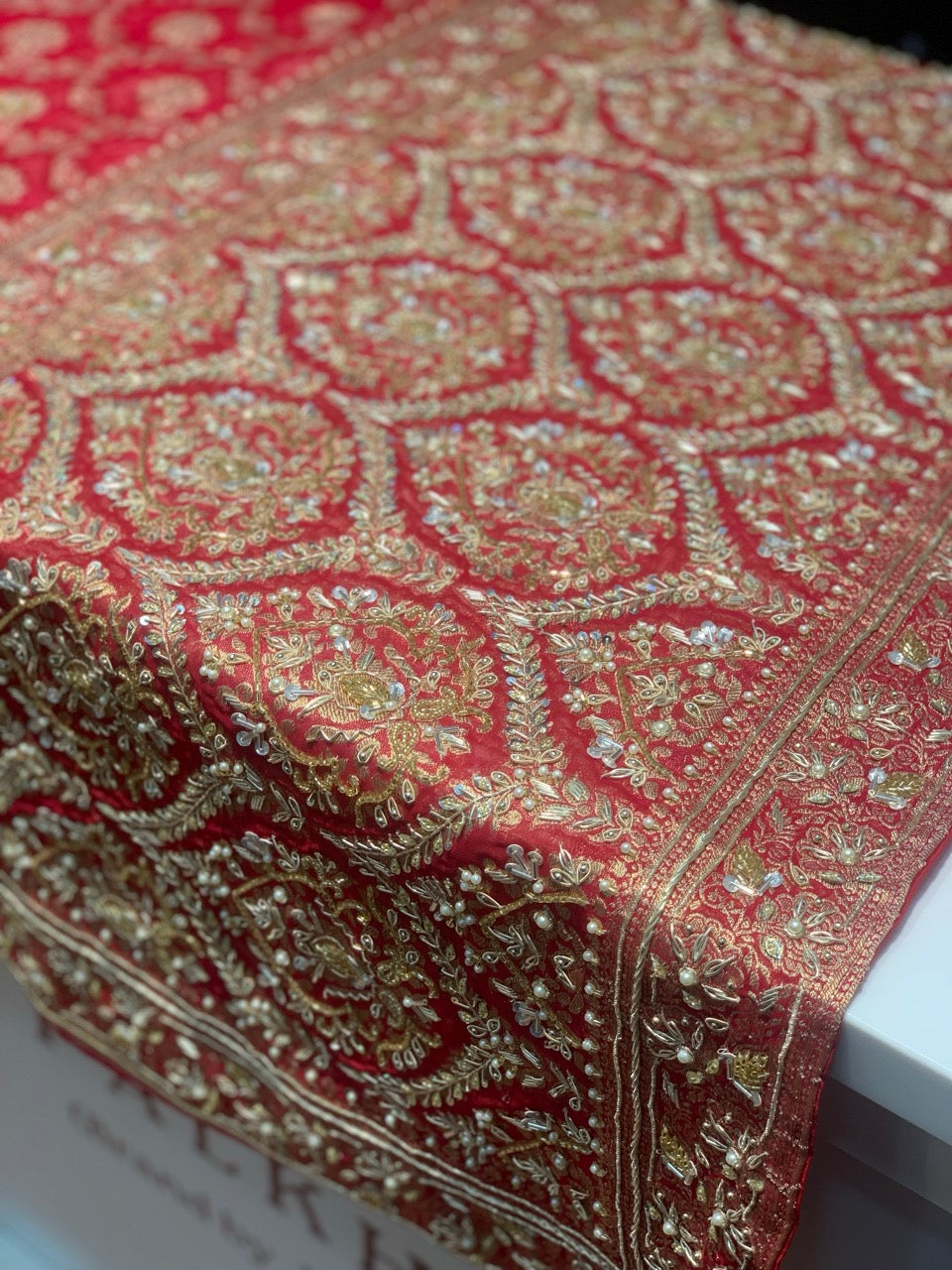 Red Jaal Georgette Banarasi x Hand Embroidery