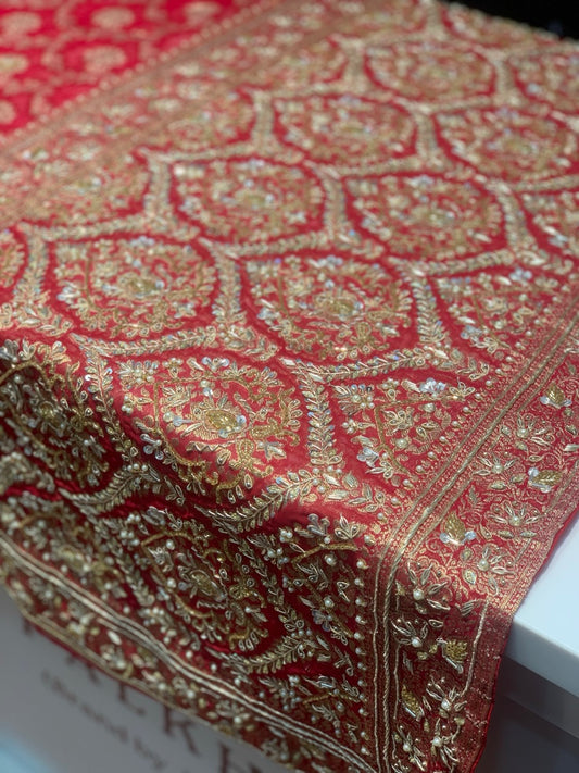 Red Jaal Georgette Banarasi x Hand Embroidery