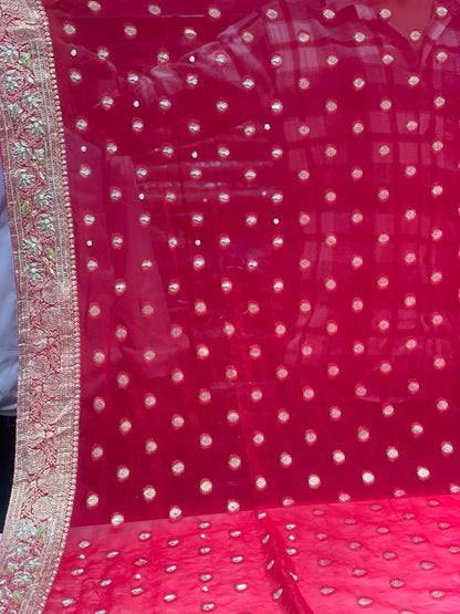 Red Jaal Georgette Banarasi x Hand Embroidery