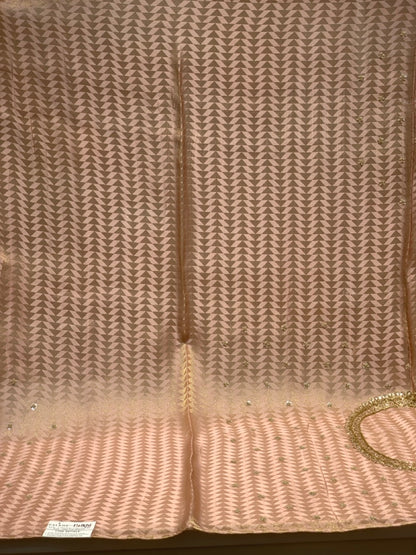 Peach Tissue Brocade Silk x Hand Embroidery