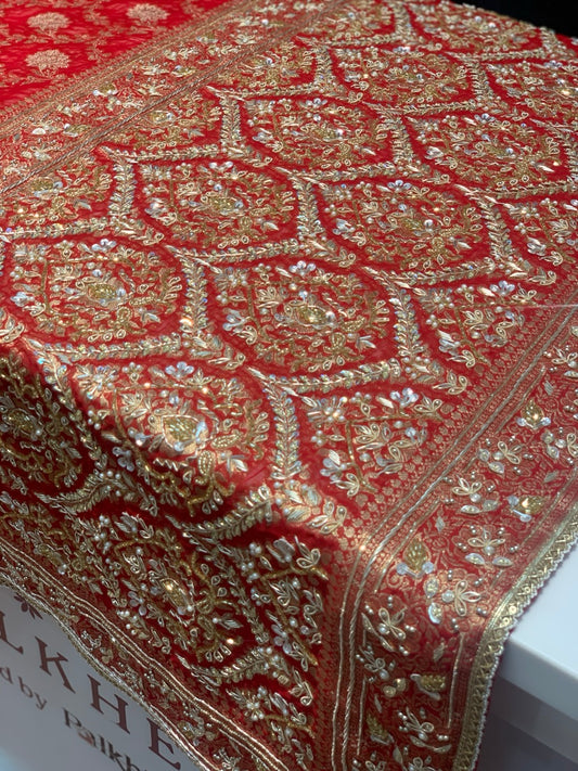 Red Jaal Georgette x Hand Embroidery