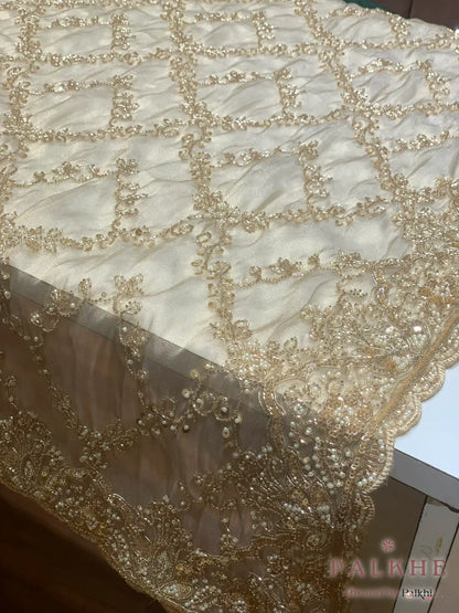 Cream Floral Jaal Tissue Silk x Hand Embroidery