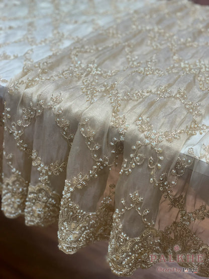 Cream Floral Jaal Tissue Silk x Hand Embroidery