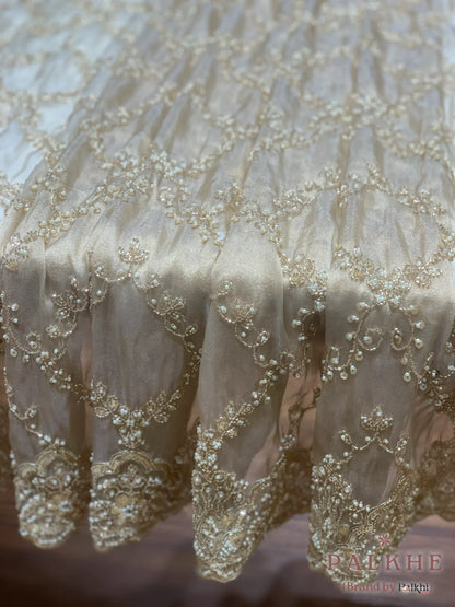 Cream Floral Jaal Tissue Silk x Hand Embroidery