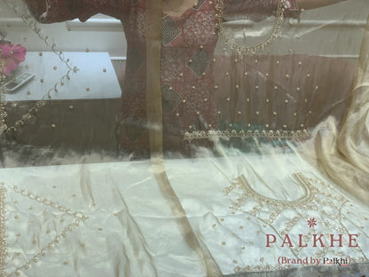 Cream Floral Jaal Tissue Silk x Hand Embroidery