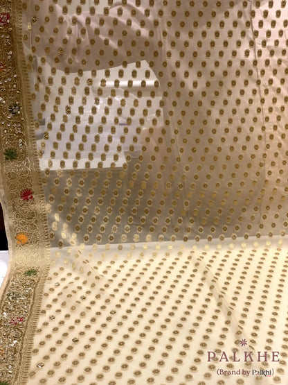 Cream Floral Jaal Georgette Banarasi x Hand Embroidery