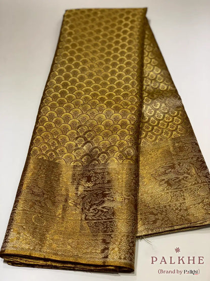 Gold Kanjivaram in Tissue Brocade Silk