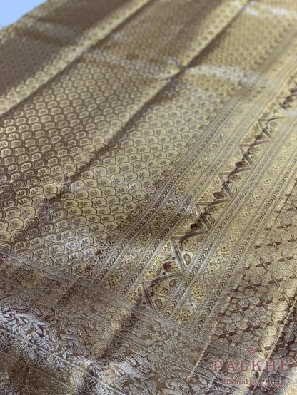 Gold Kanjivaram in Tissue Brocade Silk