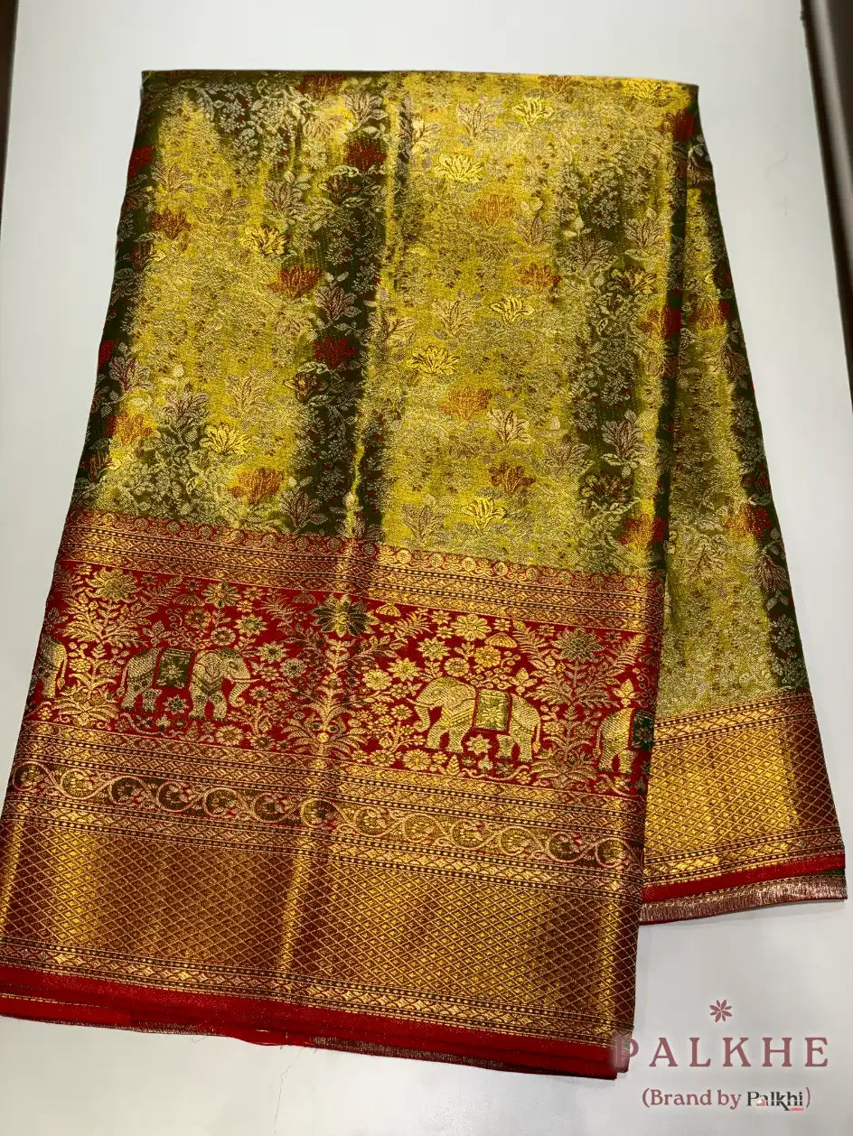 Multi Colored Kanjivaram in Pure Silk