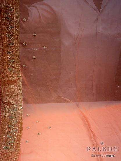 Pink & Peach Stripped Banarasi x Hand Embroidery