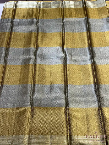 Gold & Silver Kanjivaram Geometric in Pure Silk (CF23)
