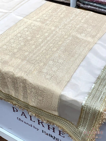 Beige Kiran Border Tissue x Hand Embroidery (CS14)