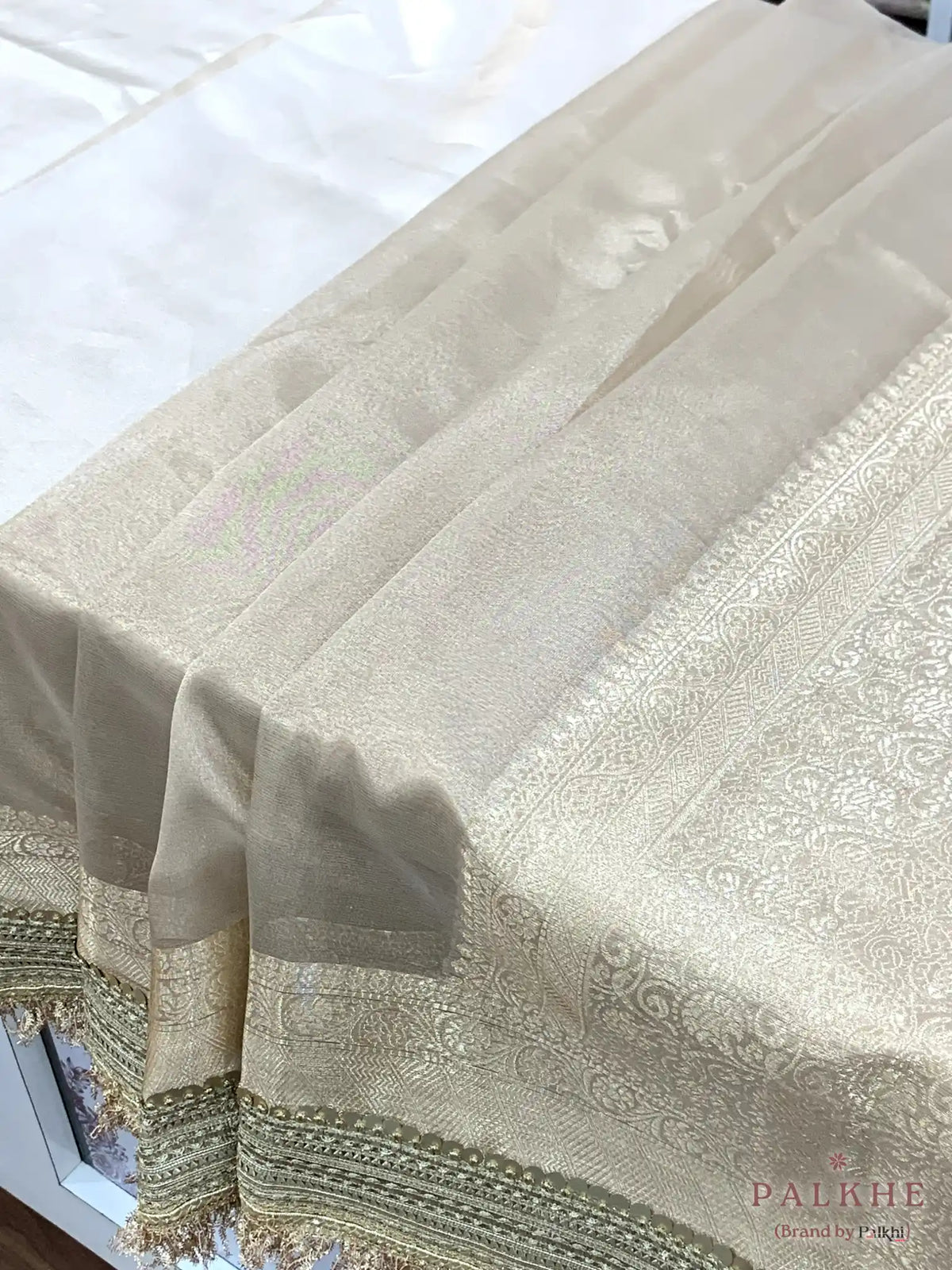 Beige Kiran Border Tissue x Hand Embroidery (CS14)