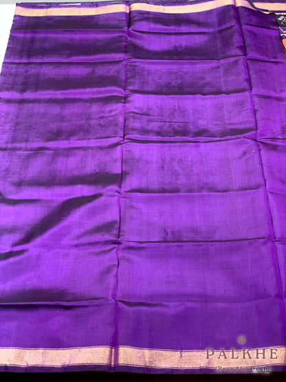 Rust & Purple Rajkot Patola Hand Woven in Pure Silk (CS48)