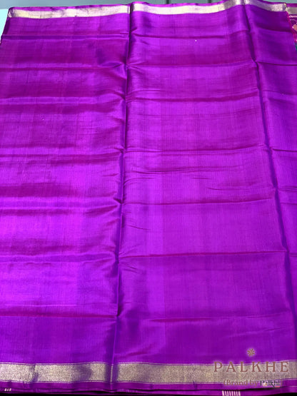 Green & Purple Patola Rajkot in Pure Silk (CS48)