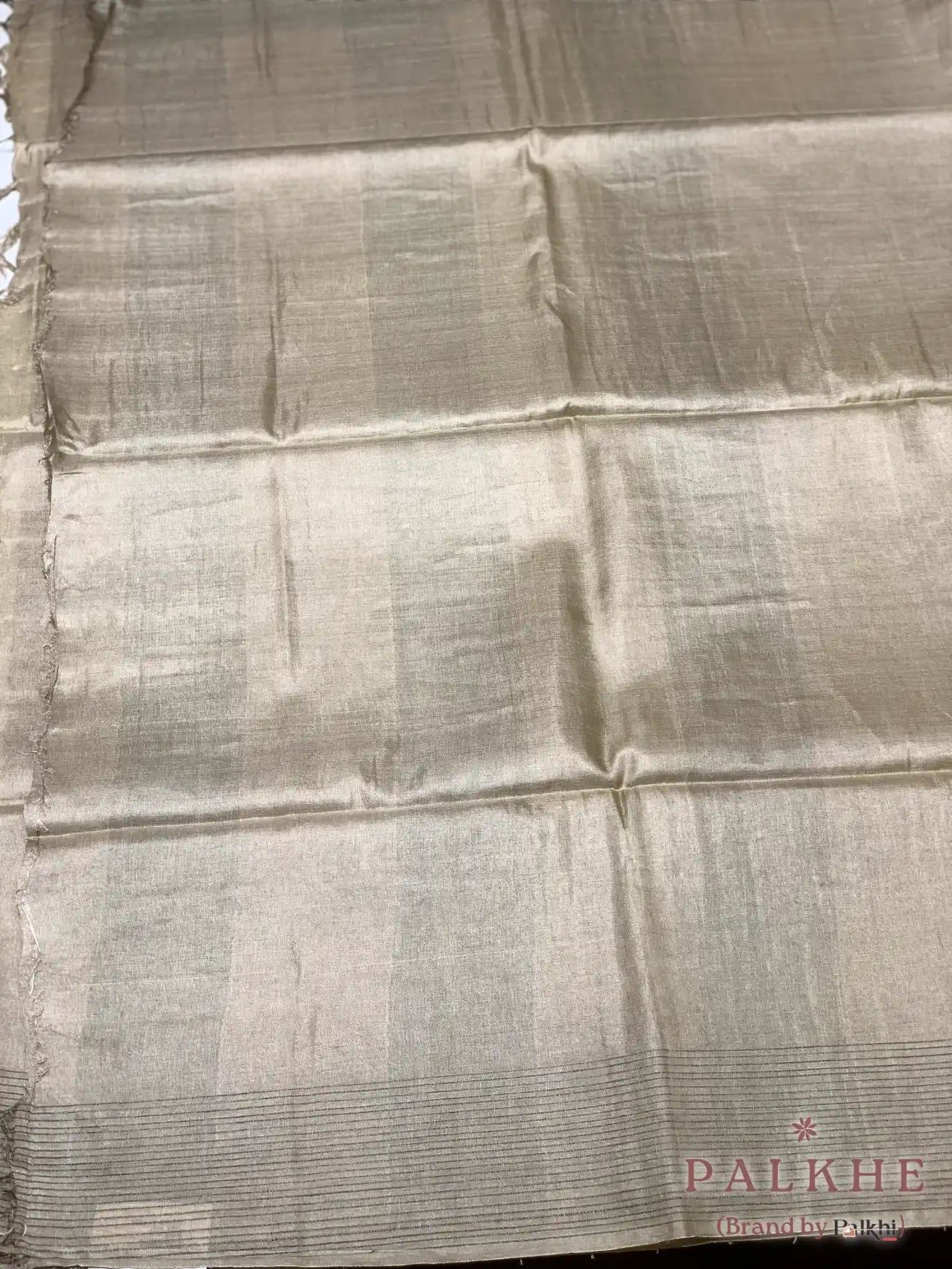 Beige Elegant Minimalist Design in Tussar Silk