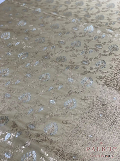 Beige Banarasi Floral Jaal in Pure Silk