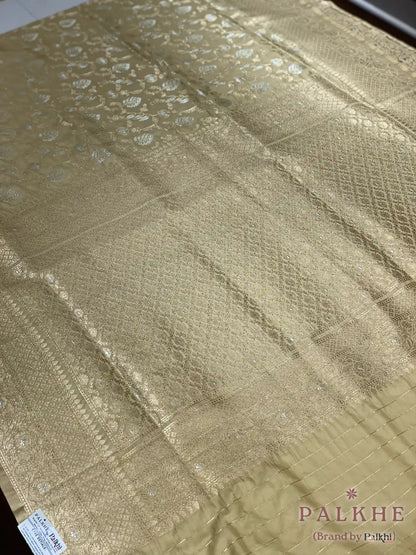 Beige Banarasi Floral Jaal in Pure Silk