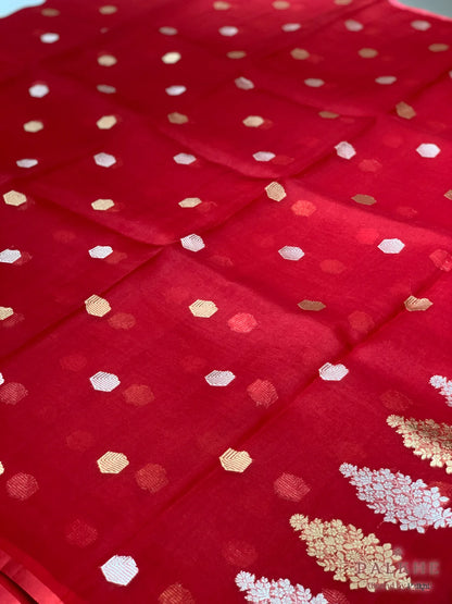 Red Banarasi Buttis in Pure Kora Organza (BT64)