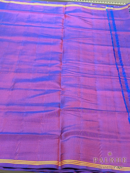 Blue Patola Multicolor Motifs in Pure Silk