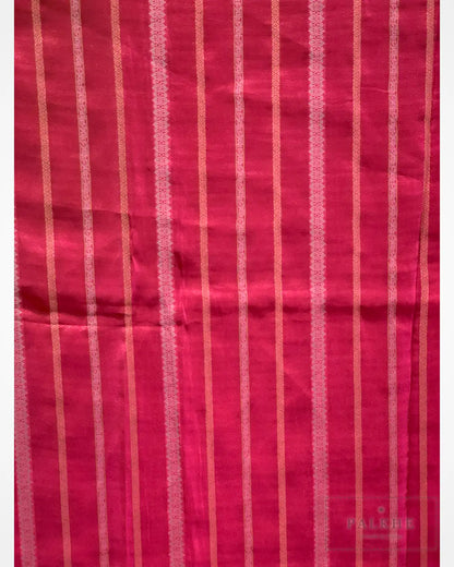 Red Tissue Silk Banarasi x Hand Embroidery