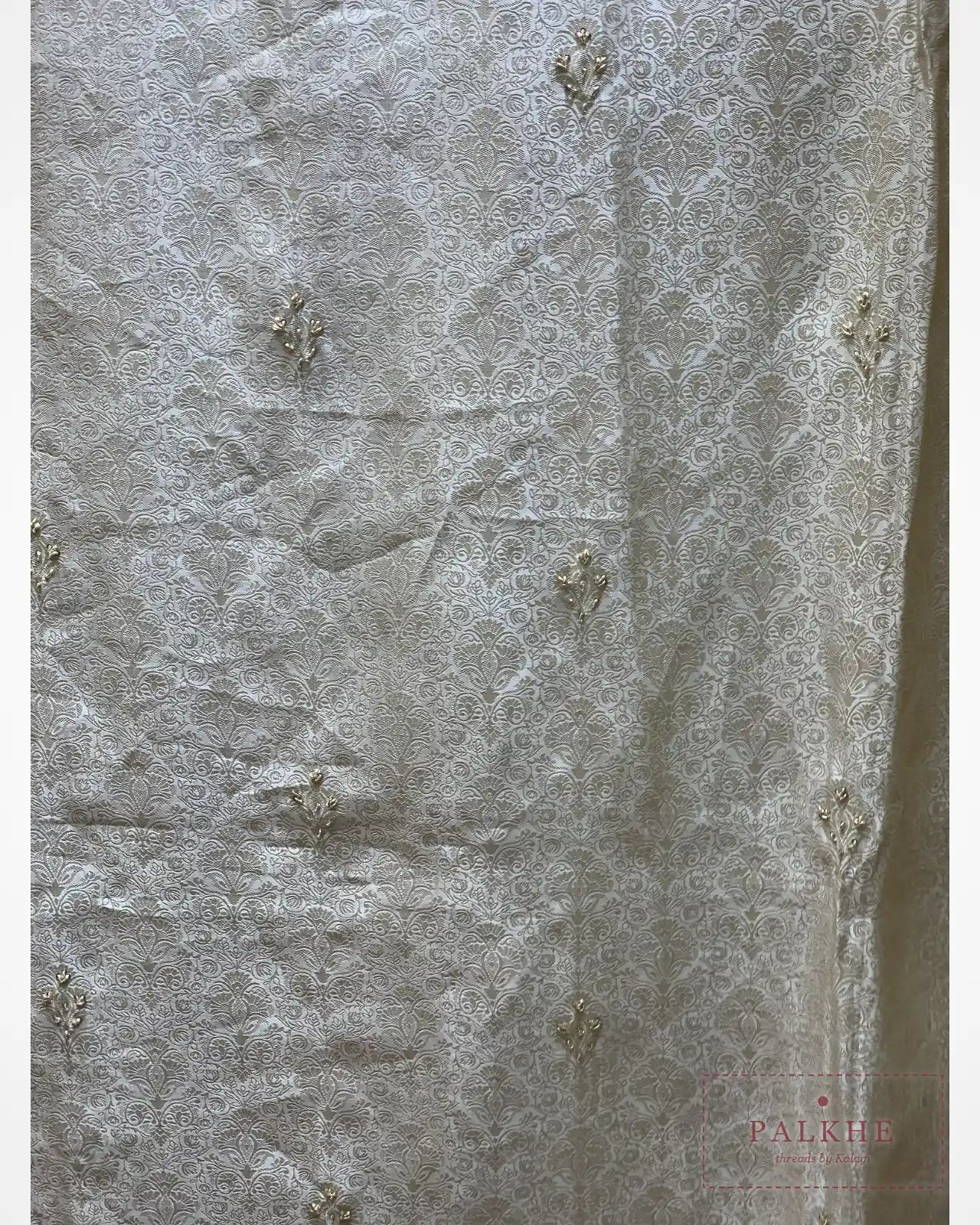 Champagne Gold Floral Jaal Pure Sillk Banarasi x Hand Embroidery