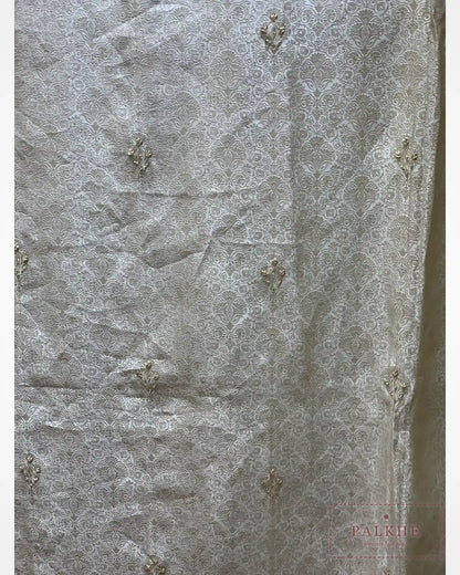 Champagne Gold Floral Jaal Pure Silk Banarasi x Hand Embroidery
