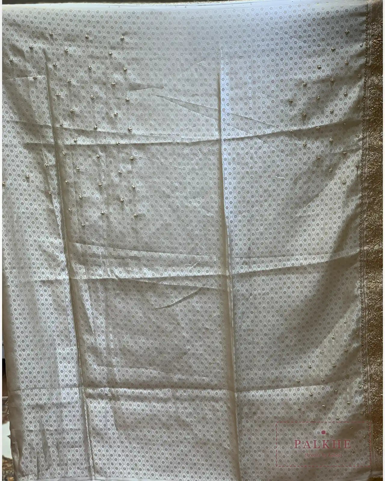 Champagne Gold Floral Jaal Pure Sillk Banarasi x Hand Embroidery