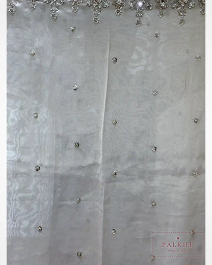 Champagne Beige Pure Silk Tissue x Hand Embroidery